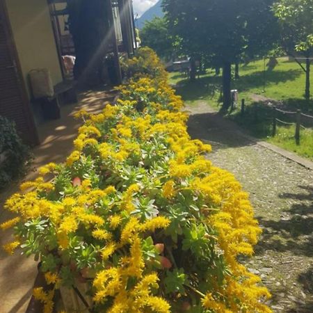 Castagno 1 Sentiero Del Viandante Apartment เบลลาโน ภายนอก รูปภาพ
